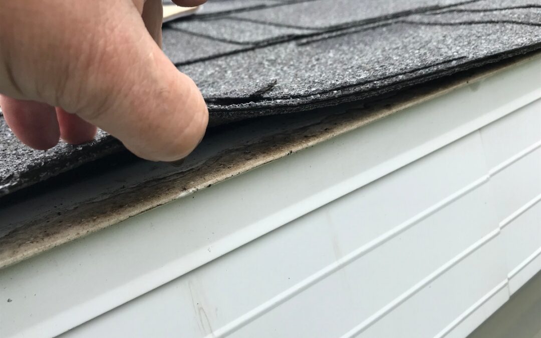 How Often Should Your Roof Be Inspected? Cortland, NY